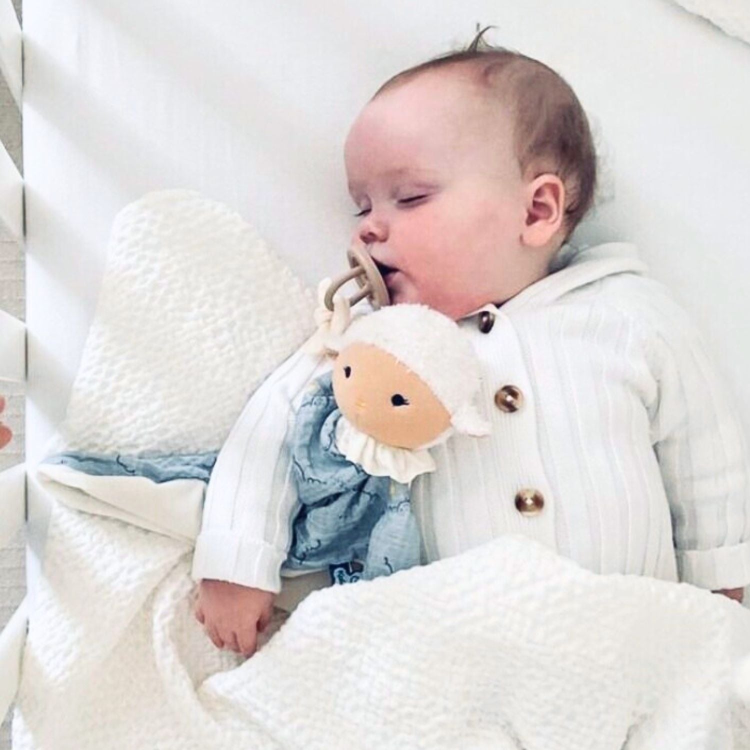 Owca Kaloo Doudou