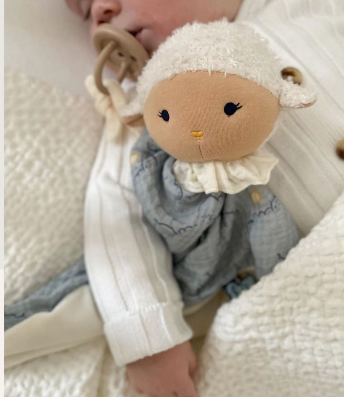 Owca Kaloo Doudou